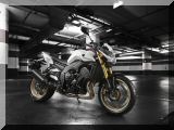 2011_FZ8_EUR_BWC1_STA_001_yamaha_tcm46-3574381.jpg