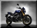 2011_FZ8_EUR_DPBMC_AOE_001_yamaha_tcm46-3574661.jpg
